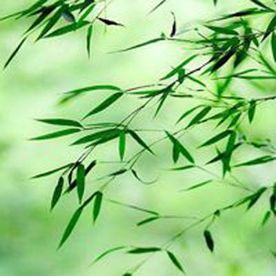 青鸾繁华录官方手游下载